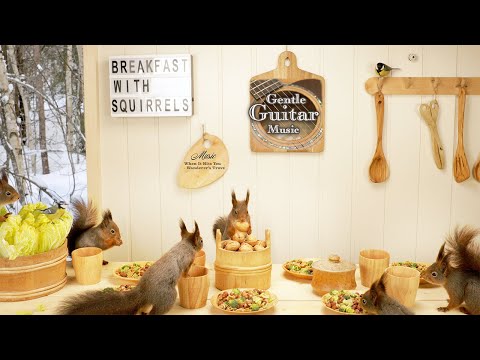 Breakfast with Squirrels and Gentle Guitar Music