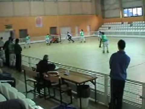 Segunda parte Liga femenina Hockey Patine: Liceo - VSK 070209