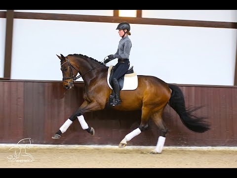 Wallach von Dante Weltino