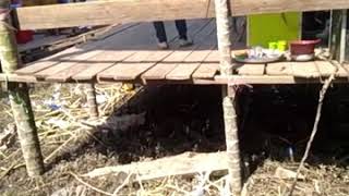 Download lagu Nyanyi organ dangdut lucu mp3