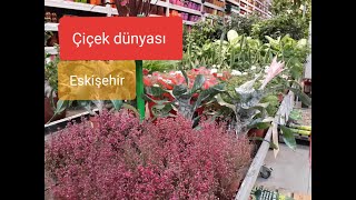 Çiçek Dünyası, Eskişehir