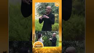 Invest Across Infrastructure, Startups & Enterprises: Microsoft's Jay Parikh On AI | CNBC-TV18 |N18V