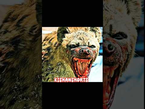 Leo X Coral...🔥| Thalapathy Attitude • [4K] quality HDR Edit... #leo​ #thalapathy​  #shorts​