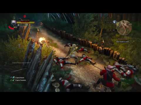 God Build-The Witcher 3 Wild Hunt