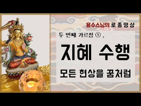 [로종 2-1] 지혜수행 _ 모든 현상을 꿈처럼 여겨라