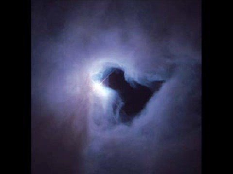 Muzloh - Idiot Kid (LATOUR)