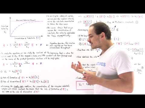 Derivation of Michaelis-Menten Equation (Part II)