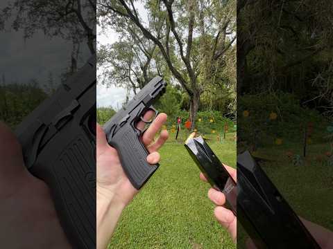 First Mag Review: Bersa TPR9c