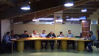 Ple municipal del 31 de gener de 2018