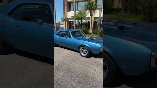 Click on this! Perfect 1967, 400 Firebird five speed First generation muscle free bird in a Firebird