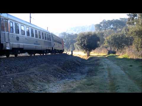 Comboio Especial n.º 13846 (PTG) - Vale Cabrito