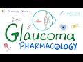 Glaucoma Pharmacology Ophthalmology 5 Minute Review