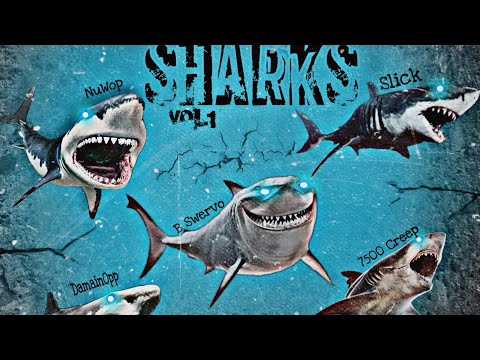 B Swervø - CLARITA FLOW