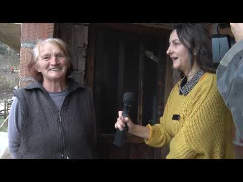 KORENI - BELO BRDO 2021 g.