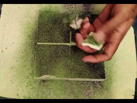 quick crush ader with green holi and black glitter