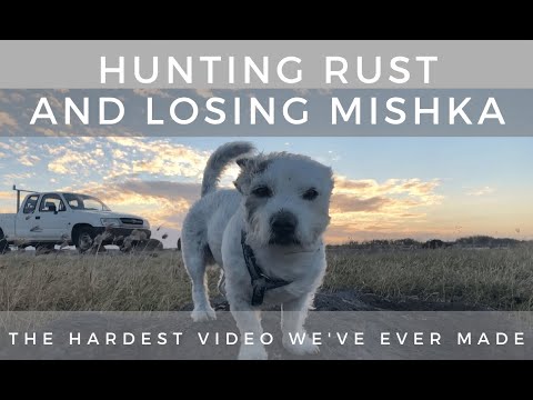 The hardest video we've ever made - Project Brupeg Ep. 113