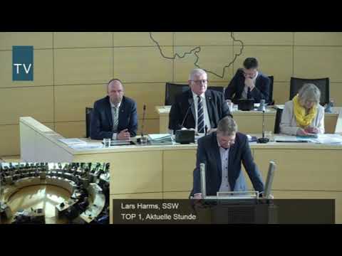 Lars Harms macht den Vergleich: AfD und NSDAP