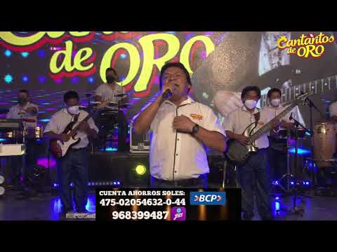 CANTARITOS DE ORO - MIX SIN CONSUELO (HOMENAJE A EDDY AYALA PINGO)