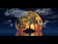 Melodic Techno V23 Teho Dizharmonia Microtrauma Frezel Ben C Reestar