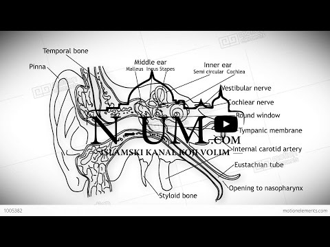 Kako funkcioniše blagodat sluha?