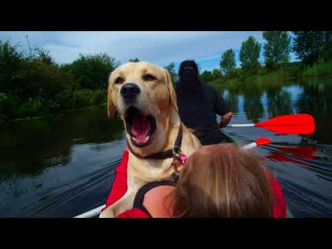 "In Mecklenburg - In Vorpommern" by Thilo Morgenstern (Thilo Morningstar)