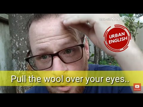 Has anyone ever "Pulled the Wool Over Your Eyes?" (English Expression!)
