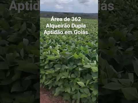 Fazenda a venda em Doverlândia GO, #agricultura #boigordo #fazenda #algodao #busines #agro #soja