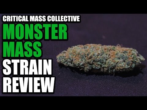 monster mass - Critical Mass Collective