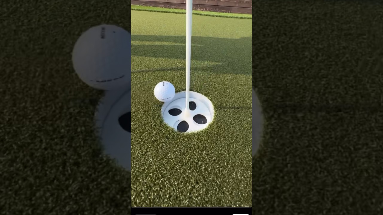 Professional Turf Installation — Start to Finish