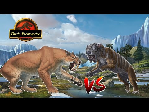 Duelo Prehistórico: Smilodon VS Thylacosmilus