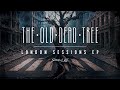 The Old Dead Tree - London Sessions (Full EP Stream)