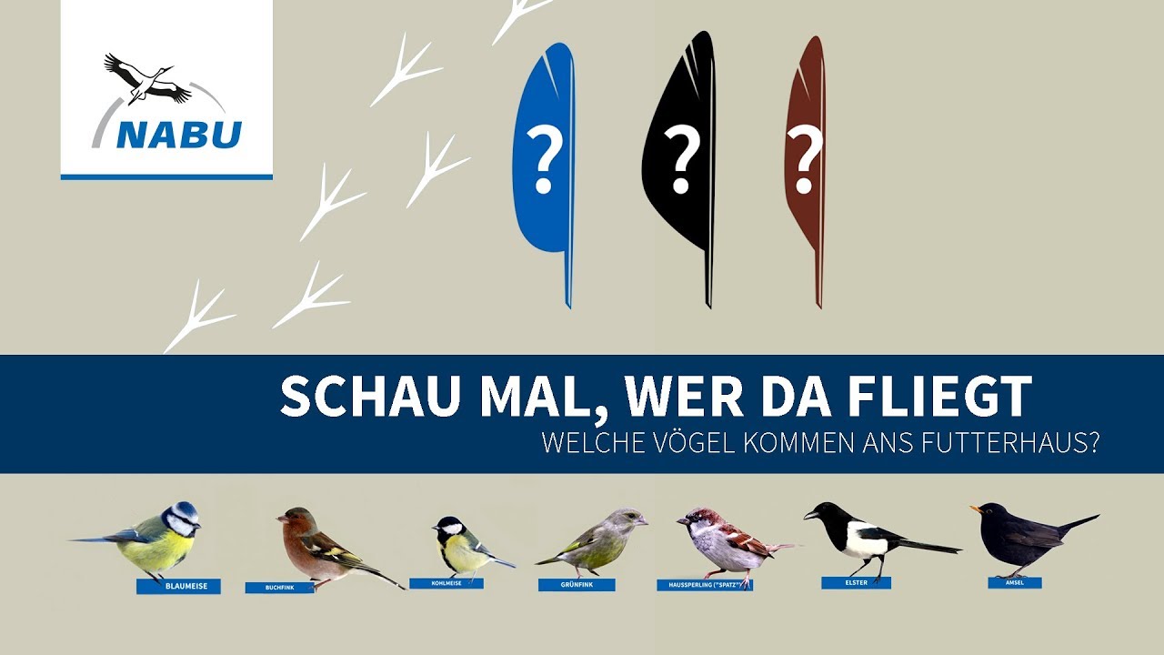 Welche Punkte es bei dem Bestellen die Lange strohhalme zu beurteilen gibt