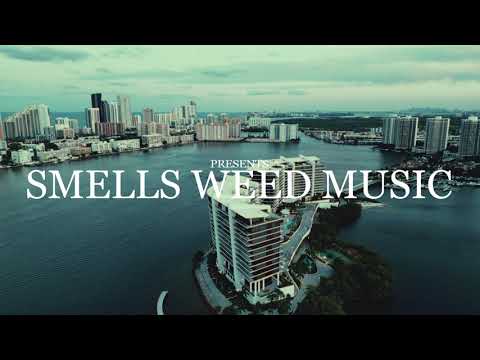 Plinofficial - Sunshine [Official Music Video]