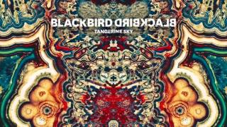 Blackbird Blackbird - Summer&#39;s Almost Here