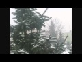 Edyta Geppert - Święta z bajki 