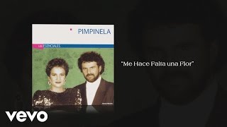 Pimpinela - Me Hace Falta una Flor (Pseudo Video)