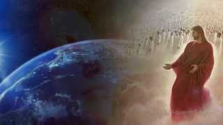 Download lagu God's Cricket Chorus (No Human Voices Or Instruments) mp3 Download lagu God's Cricket Chorus (No Human Voices Or Instruments) mp3