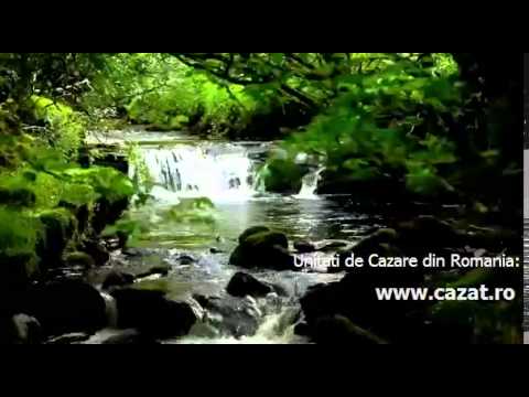 Cazare Gropsani, Olt - Cazat.ro