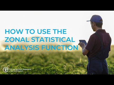 How to Use the Zonal Statistical Analysis Function