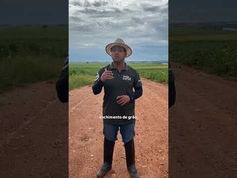 BOM DESENVOLVIMENTO DAS LAVOURAS | @rallydasafra