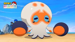 【公式】「ポケモン動画図鑑」No.0852 タタッコ