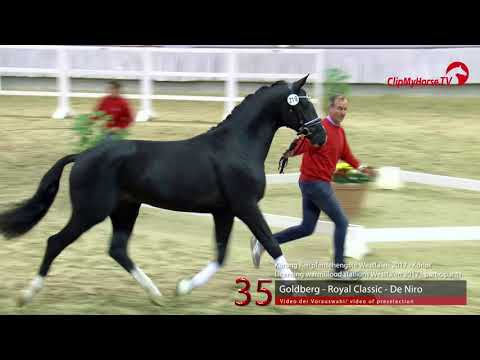 35 Junghengst v. Goldberg - Royal Classic