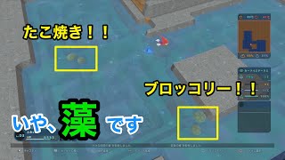 【実況】Birthdays the Beginning #2 〜海から陸へ最初に上がるのは誰だ〜