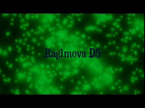 Делаем видео  panzoid