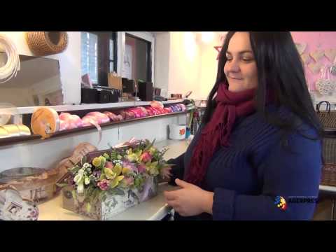 download lagu mp3 mp4 Florarie Online Sibiu, download lagu Florarie Online Sibiu gratis, unduh video klip Florarie Online Sibiu