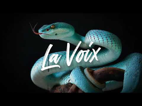 ZecKa - La Voix ft. Dasol (2014)