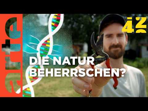 Video Thumbnail: Können wir die Evolution hacken? | 42 - Die Antwort auf fast alles | ARTE