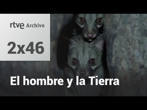 El hombre y la tierra: Capítulo 64 - La bella matadora | RTVE Archivo