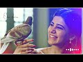 ️ Kabutari Bole Kabutar Se Hindi Romantic Love Song New Whatsapp Status Video 2022