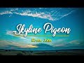 Skyline Pigeon - Elton John (KARAOKE VERSION)